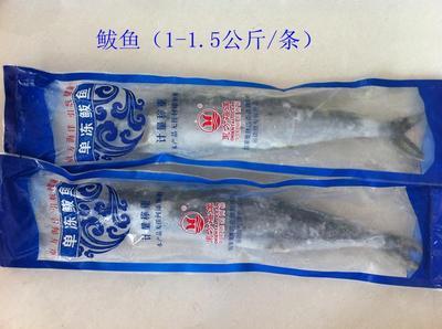青島海鮮盛宴，禮遇四方 城陽海產(chǎn)品禮盒批發(fā)采購全指南