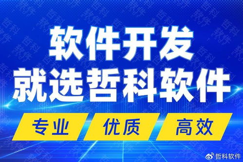 解碼技術(shù)開發(fā)新高度 國(guó)內(nèi)頂尖軟件開發(fā)公司的核心優(yōu)勢(shì)與市場(chǎng)制勝之道